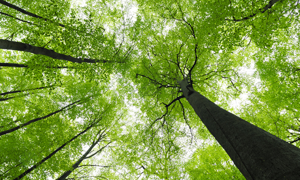 ആവാസവ്യവസ്ഥ തകിടം മറിയുമ്പോള് ആവാസവ്യവസ്ഥ തകിടം മറിയുമ്പോള്