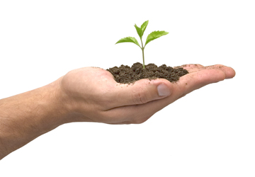 മണ്ണ്: ഒരു ഖുര്ആനിക വായന മണ്ണ്: ഒരു ഖുര്ആനിക വായന