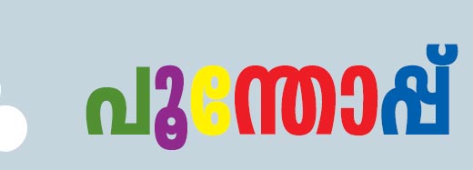 പൂന്തോപ്പ്