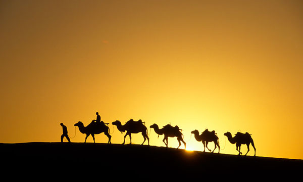 เดชเดฐเดธเตเดฏ เดชเตเดฐเดฌเตเดงเดจเดคเตเดคเดฟเดจเตเดฑเต เด
เดฒเดฏเตเดฒเดฟเดเดณเตโ เดชเดฐเดธเตเดฏ เดชเตเดฐเดฌเตเดงเดจเดคเตเดคเดฟเดจเตเดฑเต เด
เดฒเดฏเตเดฒเดฟเดเดณเตโ