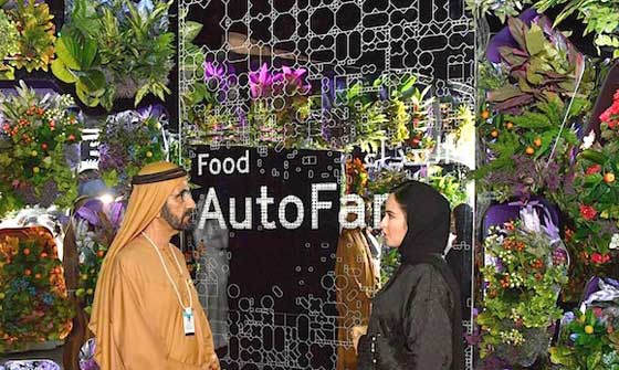 ദുബയില്‍ ഫ്യൂച്ചര്‍ മ്യൂസിയം ആരംഭിച്ചു