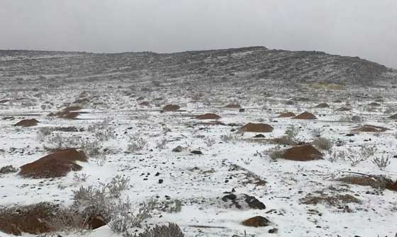 യു.എ.ഇ.യില്‍ ശക്തമായ കാറ്റും ആലിപ്പഴ മഴയും; റാസല്‍ ഖൈമയില്‍ മഞ്ഞ് വീഴ്ച, ഗ്ലോബല്‍ വില്ലേജ് അടച്ചു.