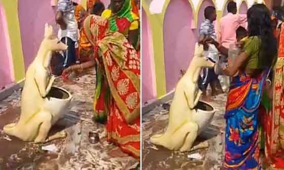 ഗോമാതാവിന് ഭീഷണിയായി കങ്കാരു ദൈവം