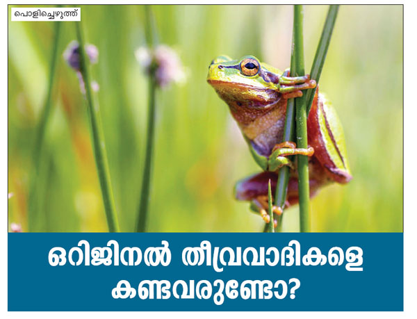 ഒറിജിനല്‍ തീവ്രവാദികളെ കണ്ടവരുണ്ടോ?