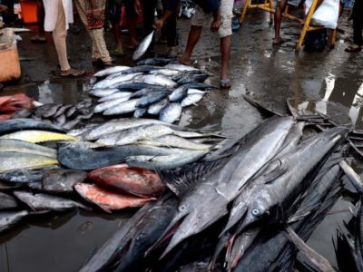 മീനുകളില്‍ മായം; റെയില്‍വേ സ്‌റ്റേഷനുകളിലും പരിശോധന