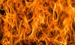 เดเตเดเตเดเดจเตเดจเตเดฐเดฟเดฒเตโ เดตเตเดเดฟเดจเต เดคเตเดชเตเดชเดฟเดเดฟเดเตเดเต; เดเดณเดชเดพเดฏเดฎเดฟเดฒเตเดฒ เดเตเดเตเดเดจเตเดจเตเดฐเดฟเดฒเตโ เดตเตเดเดฟเดจเต เดคเตเดชเตเดชเดฟเดเดฟเดเตเดเต; เดเดณเดชเดพเดฏเดฎเดฟเดฒเตเดฒ