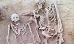 ഹാരപ്പന്‍ കല്ലറയില്‍ ആദ്യമായി  ദമ്പതികളുടെ അസ്ഥികൂടം കണ്ടെത്തി