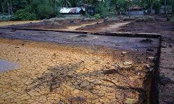 ആലപ്പാടിന് വേണ്ടത് ജീവിതമാണ്; അവഗണനയല്ല