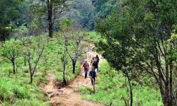 പ്രതിഷേധം മറികടന്ന് മലകയറാന്‍ നൂറ് വനിതകള്‍; യാത്ര നാളെ ആരംഭിക്കും