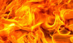 തിരുവനന്തപുരത്ത് തീപ്പിടിത്തം; മൂന്ന് കടകള്‍ കത്തിനശിച്ചു