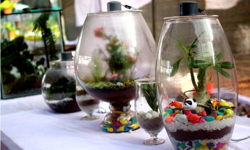 വസന്തോല്‍സവ കാഴ്ചകള്‍