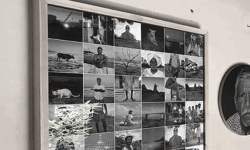 ലിങ്കിങ് ലീനിയേജ്  ഫൊട്ടോ പ്രദര്‍ശനം