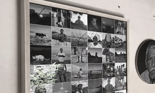 ലിങ്കിങ് ലീനിയേജ്  ഫൊട്ടോ പ്രദര്‍ശനം