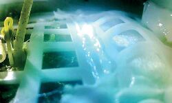 เดเดจเตเดฆเตเดฐเดจเดฟเดฒเตโ เดเตเดทเดฟ เดคเตเดเดเตเดเดฟเดฏเดคเดพเดฏเดฟ เดเตเดจ เดเดจเตเดฆเตเดฐเดจเดฟเดฒเตโ เดเตเดทเดฟ เดคเตเดเดเตเดเดฟเดฏเดคเดพเดฏเดฟ เดเตเดจ