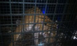 เดจเดพเดเดฟเดจเต เดตเดฟเดฑเดชเตเดชเดฟเดเตเด เดเดเตเดต เดเตเดเตเดเตเดเดฟ (Watch Video) เดจเดพเดเดฟเดจเต เดตเดฟเดฑเดชเตเดชเดฟเดเตเด เดเดเตเดต เดเตเดเตเดเตเดเดฟ (Watch Video)