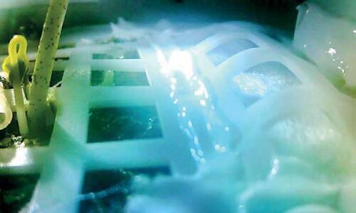 ചന്ദ്രനില്‍ കൃഷി തുടങ്ങിയതായി ചൈന