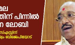 ശബരിമല സമരം ആസൂത്രണം ചെയ്തത് സവര്‍ണലോബി;   എന്‍എസ്എസ്സിന് താല്‍പര്യം ബിജെപിയോട്- വെള്ളാപ്പള്ളി