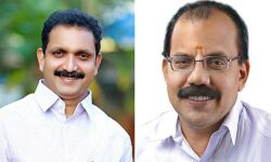 തൃശ്ശൂര്‍ സീറ്റിനെ ചൊല്ലി ബിജെപിയില്‍ അടി; മല്‍സരിക്കാന്‍ രാധാകൃഷ്ണനും സുരേന്ദ്രനും