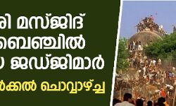 ബാബരി മസ്ജിദ് കേസ് ബെഞ്ചില്‍ രണ്ടു പുതിയ ജഡ്ജിമാര്‍; വാദംകേള്‍ക്കല്‍ ചൊവ്വാഴ്ച്ച