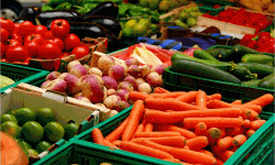 അമിത കീടനാശിനി പ്രയോഗം;      യുഎഇയും സൗദിയും ഇന്ത്യന്‍ പച്ചക്കറി ഇറക്കുമതി വെട്ടിക്കുറച്ചേക്കും