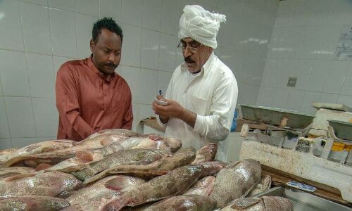 ഗള്ഫില് പ്രധാന മല്സ്യ സമ്പത്ത് 85 ശതമാനം കുറഞ്ഞു ഗള്ഫില് പ്രധാന മല്സ്യ സമ്പത്ത് 85 ശതമാനം കുറഞ്ഞു