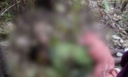 വയനാട്ടില് കടുവയുടെ ആക്രമണത്തില് യുവാവ് മരിച്ചു വയനാട്ടില് കടുവയുടെ ആക്രമണത്തില് യുവാവ് മരിച്ചു