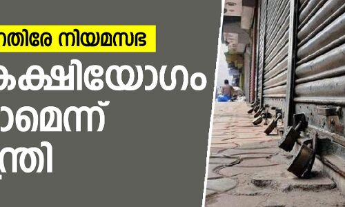 ഹര്‍ത്താലിനെതിരേ നിയമസഭ; സര്‍വകക്ഷിയോഗം വിളിക്കാമെന്ന് മുഖ്യമന്ത്രി