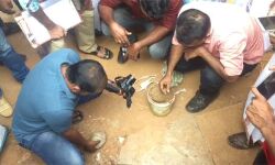 കണ്ണൂരില് നാടന് ബോംബുകള് പിടികൂടി കണ്ണൂരില് നാടന് ബോംബുകള് പിടികൂടി