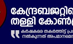 കേന്ദ്രബജറ്റിനെ തള്ളി കോണ്‍ഗ്രസ്; കര്‍ഷകരുടെ ജീവിതം തകര്‍ത്തിട്ട് പ്രതിദിനം 17 രൂപ നല്‍കുന്നത് അപമാനം: രാഹുല്‍
