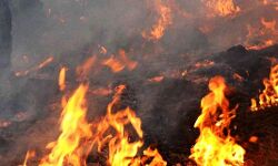 കാട്ടൂതീ: ജാഗ്രതാ നിര്ദേശവുമായി വനംവകുപ്പ് കാട്ടൂതീ: ജാഗ്രതാ നിര്ദേശവുമായി വനംവകുപ്പ്