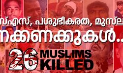 ആര്‍എസ്എസ്, പശുഭീകരത, മുസ്‌ലിംകള്‍;    മരണക്കണക്കുകള്‍ ഇങ്ങനെ