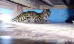 เดชเดพเดเตเดเดตเดฏเดฒเดฟเดฒเตโ เดตเตเดเดฟเดจเดเดคเตเดคเต เดชเตเดณเตเดณเดฟเดชเตเดชเตเดฒเดฟ; เด
เดคเตเดฏเดพเดนเดฟเดคเด เดเดดเดฟเดตเดพเดฏเดคเต เดคเดฒเดจเดพเดฐเดฟเดดเดเตเดเต เดชเดพเดเตเดเดตเดฏเดฒเดฟเดฒเตโ เดตเตเดเดฟเดจเดเดคเตเดคเต เดชเตเดณเตเดณเดฟเดชเตเดชเตเดฒเดฟ; เด
เดคเตเดฏเดพเดนเดฟเดคเด เดเดดเดฟเดตเดพเดฏเดคเต เดคเดฒเดจเดพเดฐเดฟเดดเดเตเดเต