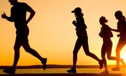 വ്യായാമം ഉന്മേഷവും ചിന്താശേഷിയും മെച്ചപ്പെടുത്തുമെന്ന് ഫിറ്റ്‌നസ് വിദഗ്ധര്‍