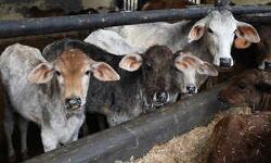 เดเตเดธเดเดฐเดเตเดทเดฃเดคเตเดคเดฟเดจเต เดฌเดเดฑเตเดฑเดฟเดฒเตโ เดตเดจเตโ เดคเตเด เดตเดเดฏเดฟเดฐเตเดคเตเดคเดฟ เดฏเตเดชเดฟ เดธเดฐเตโเดเตเดเดพเดฐเตโ เดเตเดธเดเดฐเดเตเดทเดฃเดคเตเดคเดฟเดจเต เดฌเดเดฑเตเดฑเดฟเดฒเตโ เดตเดจเตโ เดคเตเด เดตเดเดฏเดฟเดฐเตเดคเตเดคเดฟ เดฏเตเดชเดฟ เดธเดฐเตโเดเตเดเดพเดฐเตโ