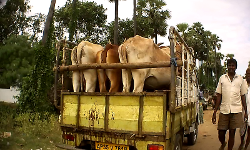 เดฌเดฟเดเตเดชเดฟ เดชเตเดฐเตเดคเด เดตเดฟเดเตเดเตเดดเดฟเดฏเดพเดคเต เดฎเดงเตเดฏเดชเตเดฐเดฆเตเดถเต; เดตเตเดฃเตเดเตเด เดเดจเตโเดเดธเตเด เดเตเดฎเดคเตเดคเดฟ เดชเตเดฒเดฟเดธเต เดฌเดฟเดเตเดชเดฟ เดชเตเดฐเตเดคเด เดตเดฟเดเตเดเตเดดเดฟเดฏเดพเดคเต เดฎเดงเตเดฏเดชเตเดฐเดฆเตเดถเต; เดตเตเดฃเตเดเตเด เดเดจเตโเดเดธเตเด เดเตเดฎเดคเตเดคเดฟ เดชเตเดฒเดฟเดธเต