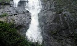 പാലരുവിയില്‍ പ്രവേശനം നിരോധിച്ചു