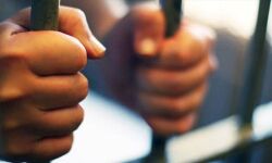 39เดเตเดเดฟเดฏเตเดเต เดฎเดฏเดเตเดเตเดฎเดฐเตเดจเตเดจเตเดฎเดพเดฏเดฟ เดตเดฟเดฆเตเดถเดฟเดเดณเตโ เดชเดฟเดเดฟเดฏเดฟเดฒเตโ 39เดเตเดเดฟเดฏเตเดเต เดฎเดฏเดเตเดเตเดฎเดฐเตเดจเตเดจเตเดฎเดพเดฏเดฟ เดตเดฟเดฆเตเดถเดฟเดเดณเตโ เดชเดฟเดเดฟเดฏเดฟเดฒเตโ