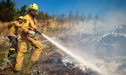 ന്യൂസിലാന്‍ഡില്‍ കാട്ടുതീ പടരുന്നു;   3000ത്തോളം പേര്‍ പലായനം ചെയ്തു