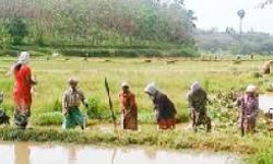 പ്രളയശേഷം തൊഴിലുറപ്പില്‍ പുതിയതായെത്തിയത് 63285 കുടുംബങ്ങള്‍