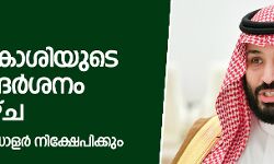 സൗദി കിരീടാവകാശിയുടെ പാക്  സന്ദര്‍ശനം ഈ ആഴ്ച;  ശതകോടി ഡോളര്‍ നിക്ഷേപിക്കും