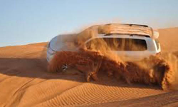 ഷാര്‍ജയില്‍ ഡെസേര്‍ട്ട് സഫാരിക്കിടെ അപകടം; ഇന്ത്യക്കാരായ ദമ്പതികള്‍ മരിച്ചു