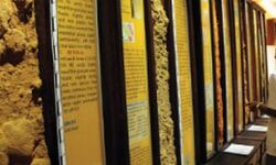 സോയില്‍ മ്യൂസിയത്തില്‍ 28 വരെ വിദ്യാര്‍ഥികള്‍ക്ക് പ്രവേശനം സൗജന്യം