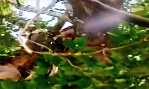 സമരപ്പന്തല് പൊളിച്ചു നീക്കിയതില് പ്രതിഷേധിച്ച് സെക്രട്ടേറിയറ്റിന് മുന്നില് ആത്മഹത്യാ ശ്രമം സമരപ്പന്തല് പൊളിച്ചു നീക്കിയതില് പ്രതിഷേധിച്ച് സെക്രട്ടേറിയറ്റിന് മുന്നില് ആത്മഹത്യാ ശ്രമം