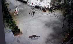 เดทเตเดชเตเดชเดฟเดเต เดฎเดพเดณเดฟเดจเตเดณเตเดณเดฟเดฒเตโ เดชเตเดฒเดฟ เดเดฏเดฑเดฟ เดทเตเดชเตเดชเดฟเดเต เดฎเดพเดณเดฟเดจเตเดณเตเดณเดฟเดฒเตโ เดชเตเดฒเดฟ เดเดฏเดฑเดฟ