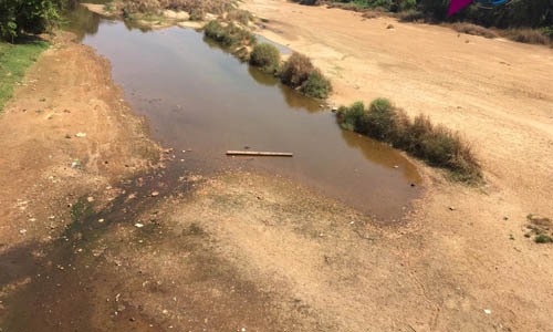 വേനല് പിടിമുറുക്കുന്നു, ഒഴുക്ക് നിലച്ച് തുത പുഴ; ശുദ്ധജലക്ഷാമം രൂക്ഷമാകും വേനല് പിടിമുറുക്കുന്നു, ഒഴുക്ക് നിലച്ച് തുത പുഴ; ശുദ്ധജലക്ഷാമം രൂക്ഷമാകും