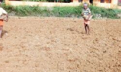 കര്‍ഷകത്തൊഴിലാളി ക്ഷേമനിധി: കുടിശിക അടച്ച് 28വരെ അംഗത്വം പുനസ്ഥാപിക്കാം