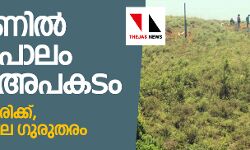 വാഗമണില് തൂക്കുപാലം പൊട്ടി അപകടം; 13 പേര്ക്ക് പരിക്ക്, ചിലരുടെ നില ഗുരുതരം വാഗമണില് തൂക്കുപാലം പൊട്ടി അപകടം; 13 പേര്ക്ക് പരിക്ക്, ചിലരുടെ നില ഗുരുതരം
