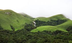 เดฌเดจเตเดฆเดฟเดชเตเดชเตเดฐเดฟเดฒเตเด เดตเดฏเดจเดพเดเตเดเดฟเดฒเตเด เด
เดเตเดเตเดฆเดฟเดตเดธเดคเตเดคเดฟเดจเดฟเดเต เดเดคเตเดคเดฟเดฏเดฎเดฐเตโเดจเตเดจเดคเต เด
เดชเตเดฐเตโเดตเตเดต เดตเดจเดธเดฎเตเดชเดคเตเดคเต เดฌเดจเตเดฆเดฟเดชเตเดชเตเดฐเดฟเดฒเตเด เดตเดฏเดจเดพเดเตเดเดฟเดฒเตเด เด
เดเตเดเตเดฆเดฟเดตเดธเดคเตเดคเดฟเดจเดฟเดเต เดเดคเตเดคเดฟเดฏเดฎเดฐเตโเดจเตเดจเดคเต เด
เดชเตเดฐเตโเดตเตเดต เดตเดจเดธเดฎเตเดชเดคเตเดคเต