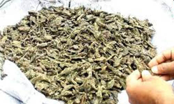 เดฌเดเดเดณเตเดฐเต เดฌเดธเตเดธเดฟเดฒเตโเดจเดฟเดจเตเดจเต เดฐเดฃเตเดเตเดเดพเดฒเตโ เดเดฟเดฒเต เดเดเตเดเดพเดตเต เดชเดฟเดเดฟเดเตเดเดฟ เดฌเดเดเดณเตเดฐเต เดฌเดธเตเดธเดฟเดฒเตโเดจเดฟเดจเตเดจเต เดฐเดฃเตเดเตเดเดพเดฒเตโ เดเดฟเดฒเต เดเดเตเดเดพเดตเต เดชเดฟเดเดฟเดเตเดเดฟ