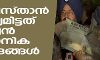 പാക് വിമാനങ്ങള്‍ ഇന്ത്യന്‍ സൈനിക കേന്ദ്രങ്ങള്‍ ലക്ഷ്യമിട്ടെന്ന് സൈനികമേധാവികള്‍
